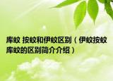 庫(kù)蚊 按蚊和伊蚊區(qū)別（伊蚊按蚊庫(kù)蚊的區(qū)別簡(jiǎn)介介紹）