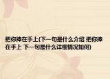 把你捧在手上(下一句是什么介紹 把你捧在手上 下一句是什么詳細情況如何)