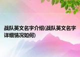 戰(zhàn)隊(duì)英文名字介紹(戰(zhàn)隊(duì)英文名字詳細(xì)情況如何)