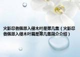 火影忍者佩恩入侵木葉是第幾集（火影忍者佩恩入侵木葉篇是第幾集簡介介紹）
