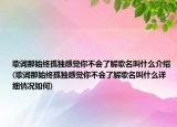 歌詞那始終孤獨感覺你不會了解歌名叫什么介紹(歌詞那始終孤獨感覺你不會了解歌名叫什么詳細(xì)情況如何)