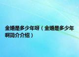 金婚是多少年呀（金婚是多少年啊簡介介紹）