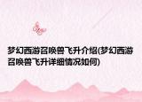 夢(mèng)幻西游召喚獸飛升介紹(夢(mèng)幻西游召喚獸飛升詳細(xì)情況如何)