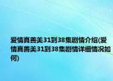 愛情真善美31到38集劇情介紹(愛情真善美31到38集劇情詳細(xì)情況如何)