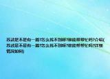 蘇武是不是有一篇?怎么找不到呀?誰能幫幫忙嗎?介紹(蘇武是不是有一篇?怎么找不到呀?誰能幫幫忙嗎?詳細(xì)情況如何)