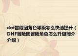 dnf冒險(xiǎn)團(tuán)角色等級(jí)怎么快速提升（DNF冒險(xiǎn)團(tuán)冒險(xiǎn)角色怎么升級(jí)簡(jiǎn)介介紹）