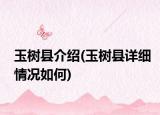 玉樹縣介紹(玉樹縣詳細(xì)情況如何)
