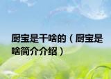 廚寶是干啥的（廚寶是啥簡介介紹）