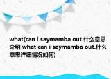 what(can i saymamba out.什么意思介紹 what can i saymamba out.什么意思詳細(xì)情況如何)