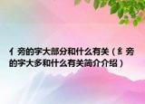 亻旁的字大部分和什么有關(guān)（纟旁的字大多和什么有關(guān)簡介介紹）