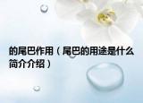 的尾巴作用（尾巴的用途是什么簡介介紹）