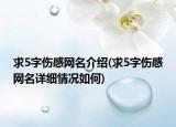 求5字傷感網(wǎng)名介紹(求5字傷感網(wǎng)名詳細(xì)情況如何)