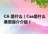 CA 是什么（Caa是什么意思簡介介紹）