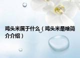 雞頭米屬于什么（雞頭米是啥簡(jiǎn)介介紹）