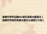 魔獸世界懷舊服tbc埃匹希斯水晶灌注（魔獸世界埃匹希斯水晶怎么得簡(jiǎn)介介紹）