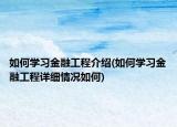 如何學(xué)習(xí)金融工程介紹(如何學(xué)習(xí)金融工程詳細情況如何)