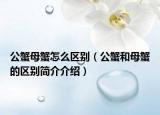 公蟹母蟹怎么區(qū)別（公蟹和母蟹的區(qū)別簡(jiǎn)介介紹）