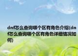 dnf怎么查詢哪個區(qū)有角色介紹(dnf怎么查詢哪個區(qū)有角色詳細情況如何)
