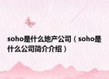soho是什么地產(chǎn)公司（soho是什么公司簡(jiǎn)介介紹）