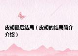 皮胡最后結局（皮胡的結局簡介介紹）