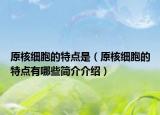 原核細胞的特點是（原核細胞的特點有哪些簡介介紹）