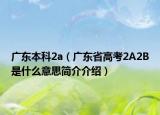 廣東本科2a（廣東省高考2A2B是什么意思簡介介紹）