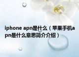 iphone apn是什么（蘋果手機(jī)apn是什么意思簡介介紹）