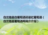 白蘭地是白葡萄酒還是紅葡萄酒（白蘭地是葡萄酒嗎簡介介紹）