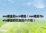 sas硬盤(pán)和scsi硬盤(pán)（sas硬盤(pán)與sata硬盤(pán)的區(qū)別簡(jiǎn)介介紹）