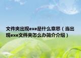 文件夾出現(xiàn)exe是什么意思（當(dāng)出現(xiàn)exe文件夾怎么辦簡(jiǎn)介介紹）
