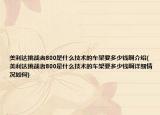 美利達(dá)挑戰(zhàn)者800是什么技術(shù)的車架要多少錢啊介紹(美利達(dá)挑戰(zhàn)者800是什么技術(shù)的車架要多少錢啊詳細(xì)情況如何)