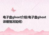 電子盤ghost介紹(電子盤ghost詳細(xì)情況如何)