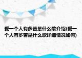 愛一個人有多苦是什么歌介紹(愛一個人有多苦是什么歌詳細(xì)情況如何)