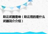 趙云武器是啥（趙云用的是什么武器簡介介紹）