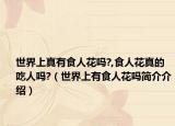 世界上真有食人花嗎?,食人花真的吃人嗎?（世界上有食人花嗎簡(jiǎn)介介紹）