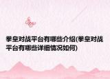 拳皇對戰(zhàn)平臺有哪些介紹(拳皇對戰(zhàn)平臺有哪些詳細(xì)情況如何)
