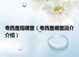 粵西是指哪里（粵西是哪里簡介介紹）