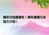 猴年分別是哪年（猴年是哪幾年簡(jiǎn)介介紹）