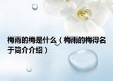 梅雨的梅是什么（梅雨的梅得名于簡介介紹）