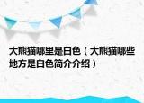 大熊貓哪里是白色（大熊貓哪些地方是白色簡介介紹）