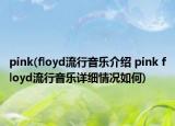 pink(floyd流行音樂介紹 pink floyd流行音樂詳細情況如何)