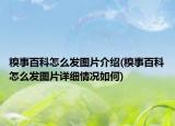 糗事百科怎么發(fā)圖片介紹(糗事百科怎么發(fā)圖片詳細(xì)情況如何)