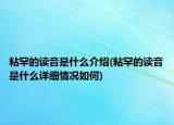 粘罕的讀音是什么介紹(粘罕的讀音是什么詳細情況如何)