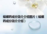 蟑螂藥成分簡(jiǎn)介介紹圖片（蟑螂藥成分簡(jiǎn)介介紹）