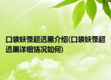 口袋妖怪超透黑介紹(口袋妖怪超透黑詳細(xì)情況如何)