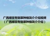 廣西哪里有煙草種植簡(jiǎn)介介紹視頻（廣西哪里有煙草種植簡(jiǎn)介介紹）