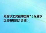 光遇水之靈在哪里找?（光遇水之靈在哪簡介介紹）