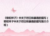 《駱駝祥子》中關(guān)于烈日和暴雨的描寫（駱駝祥子中關(guān)于烈日和暴雨的描寫簡介介紹）