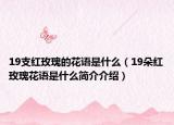 19支紅玫瑰的花語(yǔ)是什么（19朵紅玫瑰花語(yǔ)是什么簡(jiǎn)介介紹）