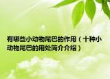 有哪些小動(dòng)物尾巴的作用（十種小動(dòng)物尾巴的用處簡(jiǎn)介介紹）